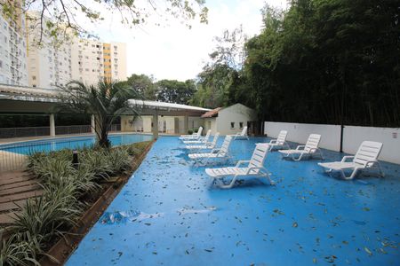 Apartamento para alugar com 75m², 2 quartos e 1 vaga Apartamento para alugar com 75m², 2 quartos e 1 vagaÁrea comum - Piscina
