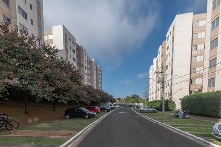 Apartamento para alugar com 45m², 2 quartos e 1 vaga Apartamento para alugar com 45m², 2 quartos e 1 vagaÁrea comum