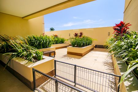 Apartamento para alugar com 75m², 2 quartos e 2 vagasÁrea comum