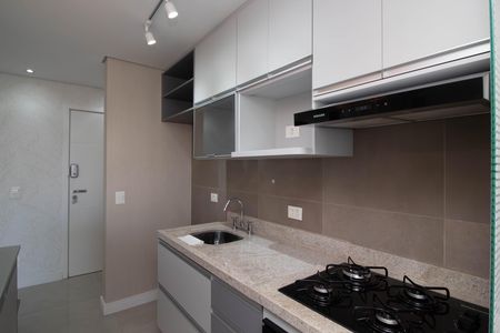 Apartamento à venda com 67m², 2 quartos e 1 vagaCozinha - Armários