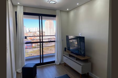 Sala de apartamento para alugar com 1 quarto, 26m² em Vila Sonia, São Paulo