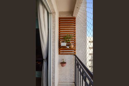 Sala - Sacada de apartamento à venda com 3 quartos, 59m² em Vila Pirituba, São Paulo