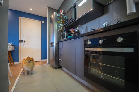 Apartamento para alugar com 49m², 2 quartos e 1 vaga Apartamento para alugar com 49m², 2 quartos e 1 vagaCozinha