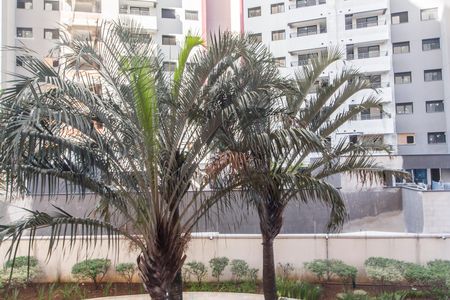 Apartamento à venda com 80m², 3 quartos e 1 vaga Apartamento à venda com 80m², 3 quartos e 1 vagaVista do Quarto 2