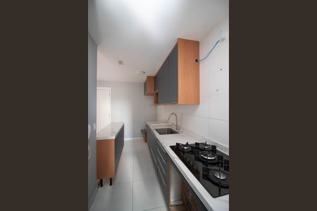 Apartamento para alugar com 67m², 2 quartos e 1 vagaCozinha - Armários