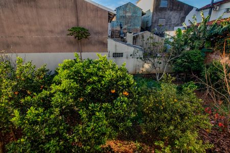 Casa à venda com 280m², 2 quartos e 2 vagas Casa à venda com 280m², 2 quartos e 2 vagasPomar