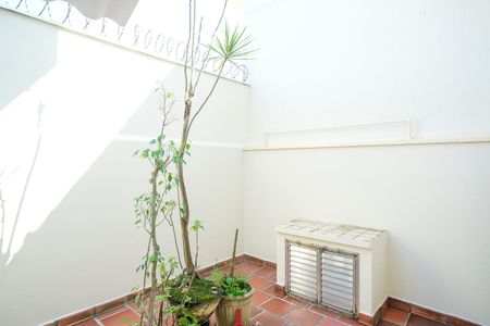 Casa para alugar com 120m², 3 quartos e 1 vagaQuintal