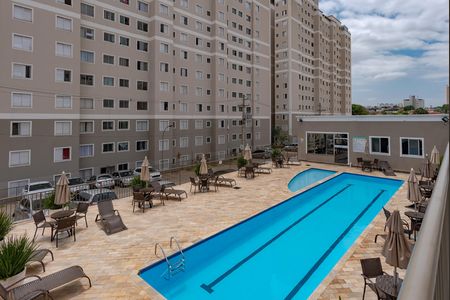 Área comum - Piscina de apartamento à venda com 2 quartos, 53m² em Jardim Nova Europa, Campinas