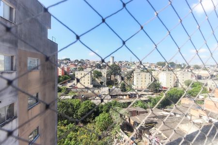Apartamento para alugar com 61m², 4 quartos e 1 vaga Apartamento para alugar com 61m², 4 quartos e 1 vagaVista do Quarto 3