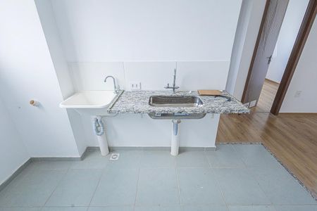 Cozinha de apartamento para alugar com 2 quartos, 45m² em Juliana, Belo Horizonte