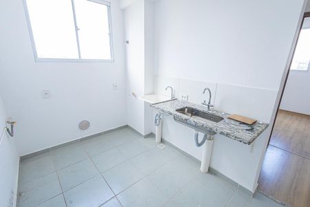 Cozinha de apartamento para alugar com 2 quartos, 45m² em Juliana, Belo Horizonte