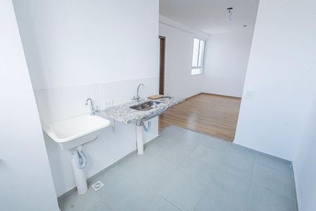 Cozinha de apartamento para alugar com 2 quartos, 45m² em Juliana, Belo Horizonte