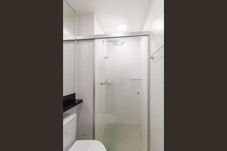 Banheiro de apartamento para alugar com 2 quartos, 50m² em Santa Maria, Osasco