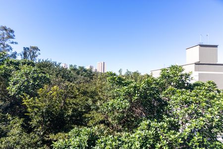 Apartamento para alugar com 96m², 3 quartos e 1 vaga Apartamento para alugar com 96m², 3 quartos e 1 vagaVista do Quarto 01