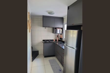 Cozinha de apartamento para alugar com 2 quartos, 41m² em Jardim Irene, Santo André