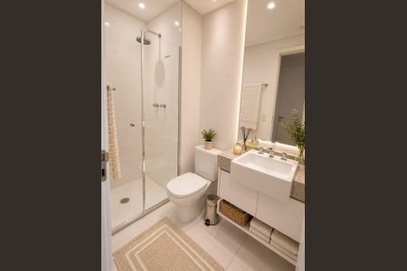 Banheiro de apartamento para alugar com 2 quartos, 58m² em Cambuci, São Paulo