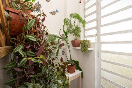 Apartamento à venda com 52m², 1 quarto e sem vagaCozinha