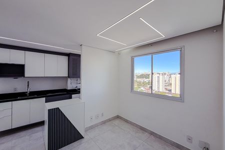 Sala de apartamento para alugar com 2 quartos, 37m² em Cambuci, São Paulo