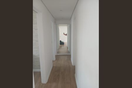 Foto 12 de apartamento para alugar com 3 quartos, 69m² em Jardim Santo Amaro, São Paulo
