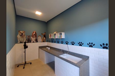 Apartamento para alugar com 35m², 2 quartos e 1 vaga Apartamento para alugar com 35m², 2 quartos e 1 vagaPet Place