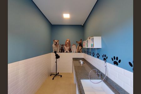 Apartamento para alugar com 35m², 2 quartos e 1 vaga Apartamento para alugar com 35m², 2 quartos e 1 vagaPet Place