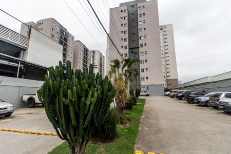 Área comum de apartamento para alugar com 2 quartos, 51m² em Vila Caldas, Carapicuíba