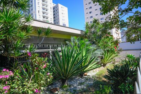 Casa para alugar com 350m², 4 quartos e 12 vagas Casa para alugar com 350m², 4 quartos e 12 vagasJardim