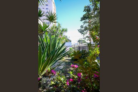 Casa para alugar com 350m², 4 quartos e 12 vagas Casa para alugar com 350m², 4 quartos e 12 vagasJardim