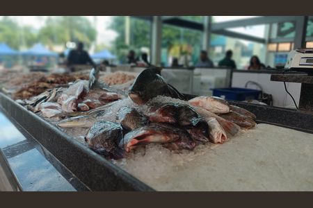 Studio para alugar com 25m², 1 quarto e sem vagaENTORNO MERCADO DE PEIXES