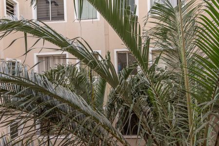 Apartamento para alugar com 35m², 2 quartos e 1 vagaVista Cozinha e Área de Serviço