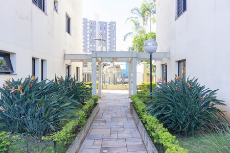 Apartamento para alugar com 99m², 4 quartos e 3 vagas Apartamento para alugar com 99m², 4 quartos e 3 vagasÁrea comum