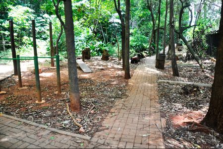 Apartamento para alugar com 81m², 3 quartos e 1 vaga Apartamento para alugar com 81m², 3 quartos e 1 vagaBosque