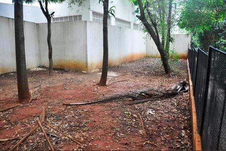 Apartamento para alugar com 81m², 3 quartos e 1 vaga Apartamento para alugar com 81m², 3 quartos e 1 vagaEspaço Pet