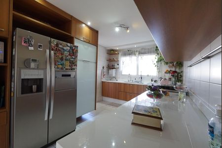 Cozinha de apartamento para alugar com 4 quartos, 242m² em Ipiranga, São Paulo