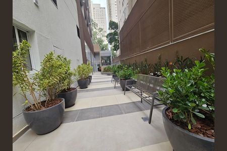 Apartamento à venda com 42m², 2 quartos e sem vaga Apartamento à venda com 42m², 2 quartos e sem vagaÁrea comum