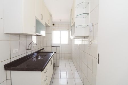 Apartamento para alugar com 60m², 3 quartos e 1 vaga Apartamento para alugar com 60m², 3 quartos e 1 vagaCozinha