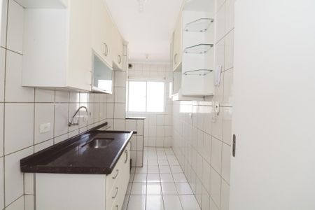 Apartamento para alugar com 60m², 3 quartos e 1 vaga Apartamento para alugar com 60m², 3 quartos e 1 vagaCozinha