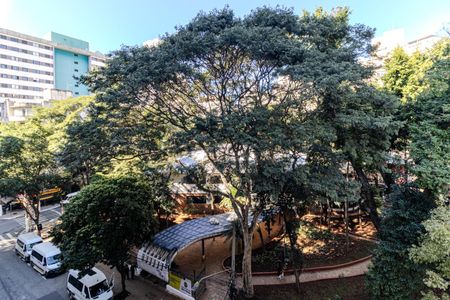 Vista de kitnet/studio para alugar com 1 quarto, 28m² em Vila Buarque, São Paulo