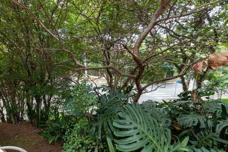 Casa para alugar com 300m², 4 quartos e 1 vagaQuintal - vista