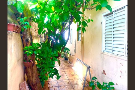 Casa para alugar com 45m², 1 quarto e sem vaga