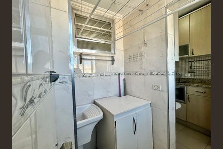 Lavanderia de apartamento para alugar com 2 quartos, 54m² em Brás, São Paulo