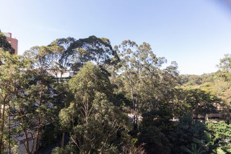 Apartamento à venda com 187m², 3 quartos e 3 vagasVista 1