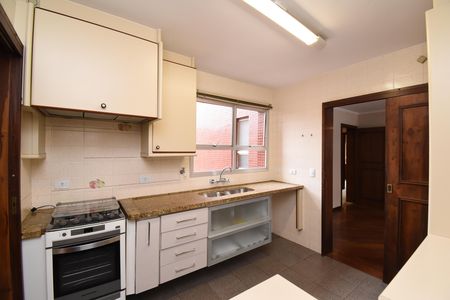 Apartamento à venda com 261m², 4 quartos e 2 vagasCozinha
