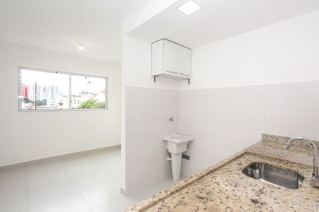 Cozinha de apartamento para alugar com 1 quarto, 30m² em Vila Antonina, São Paulo