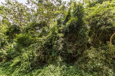 Apartamento para alugar com 90m², 2 quartos e 2 vagasVista