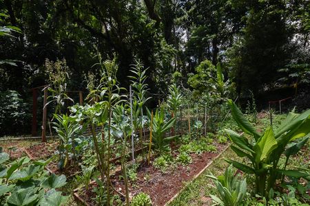 Apartamento para alugar com 120m², 3 quartos e 1 vaga Apartamento para alugar com 120m², 3 quartos e 1 vagaHorta