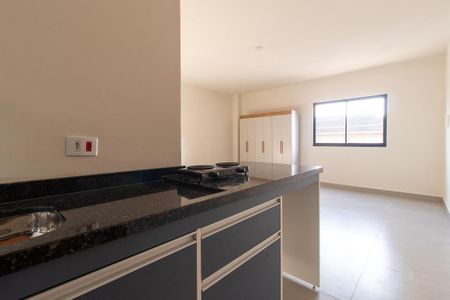Cozinha - Armários de apartamento para alugar com 1 quarto, 30m² em São Pedro, São José dos Pinhais
