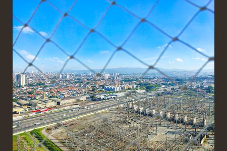 Vista da Varanda da Sala de apartamento para alugar com 2 quartos, 50m² em Vila Endres, Guarulhos