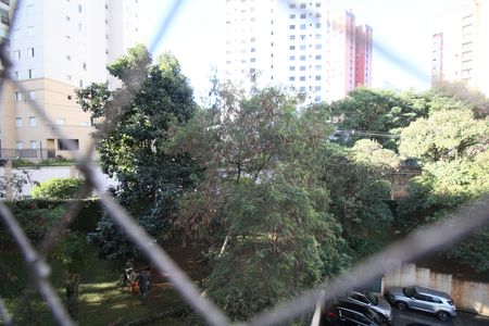 Vista Varanda Sala de apartamento para alugar com 4 quartos, 96m² em Vila Sonia, São Paulo