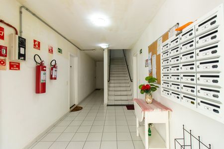 Hall social de apartamento para alugar com 3 quartos, 52m² em Jardim Marilu, Cotia